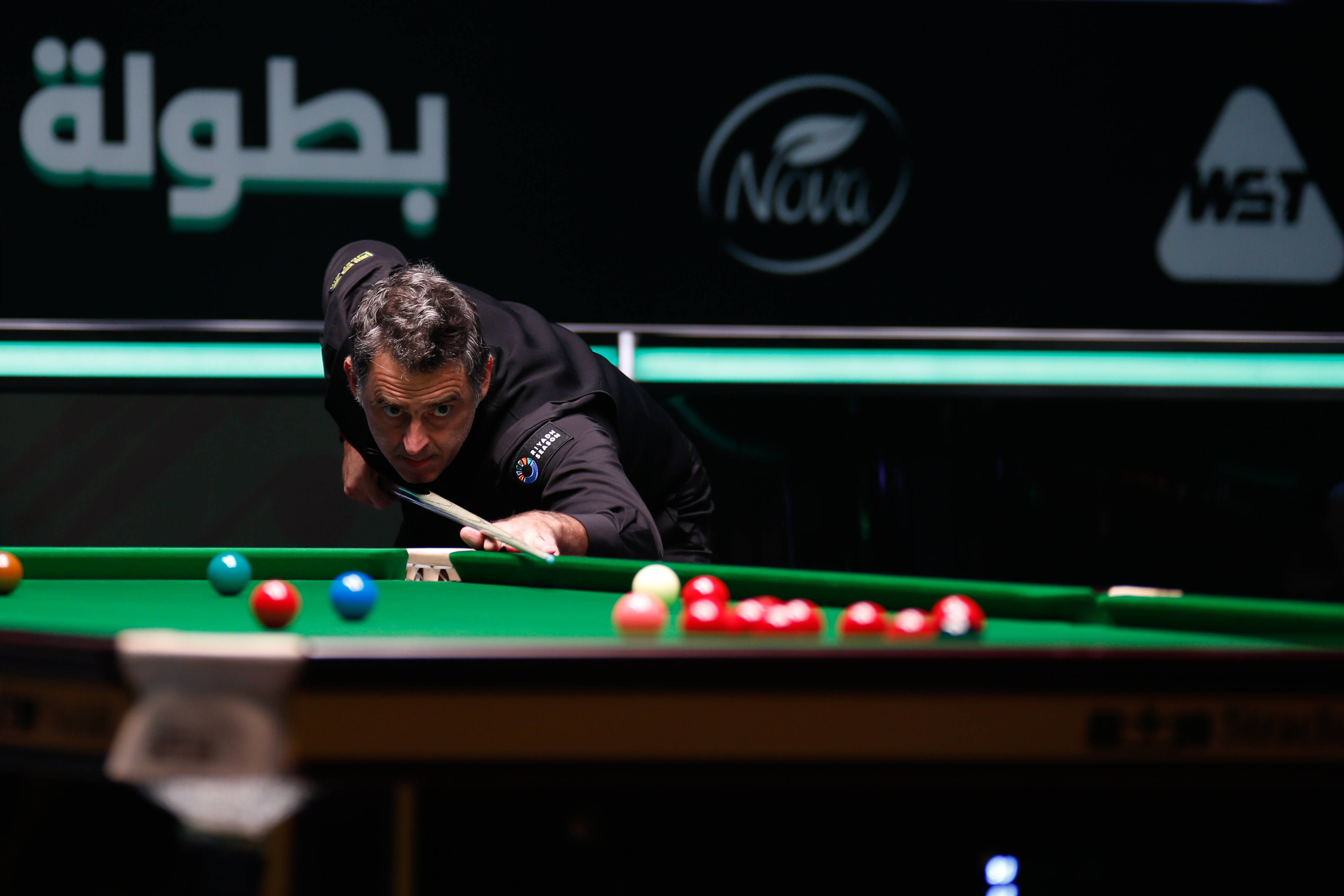 和新活力的 和新活力的