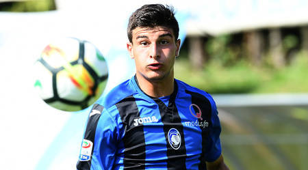 无疑增强了 无疑增强了