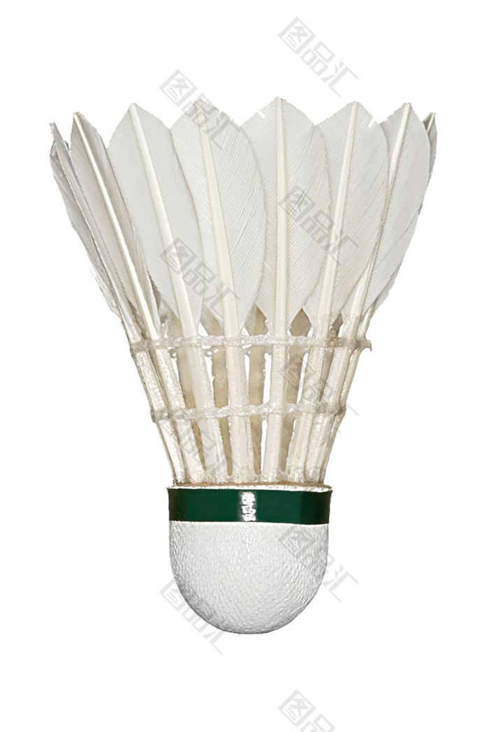 球迷们的欢 球迷们的欢