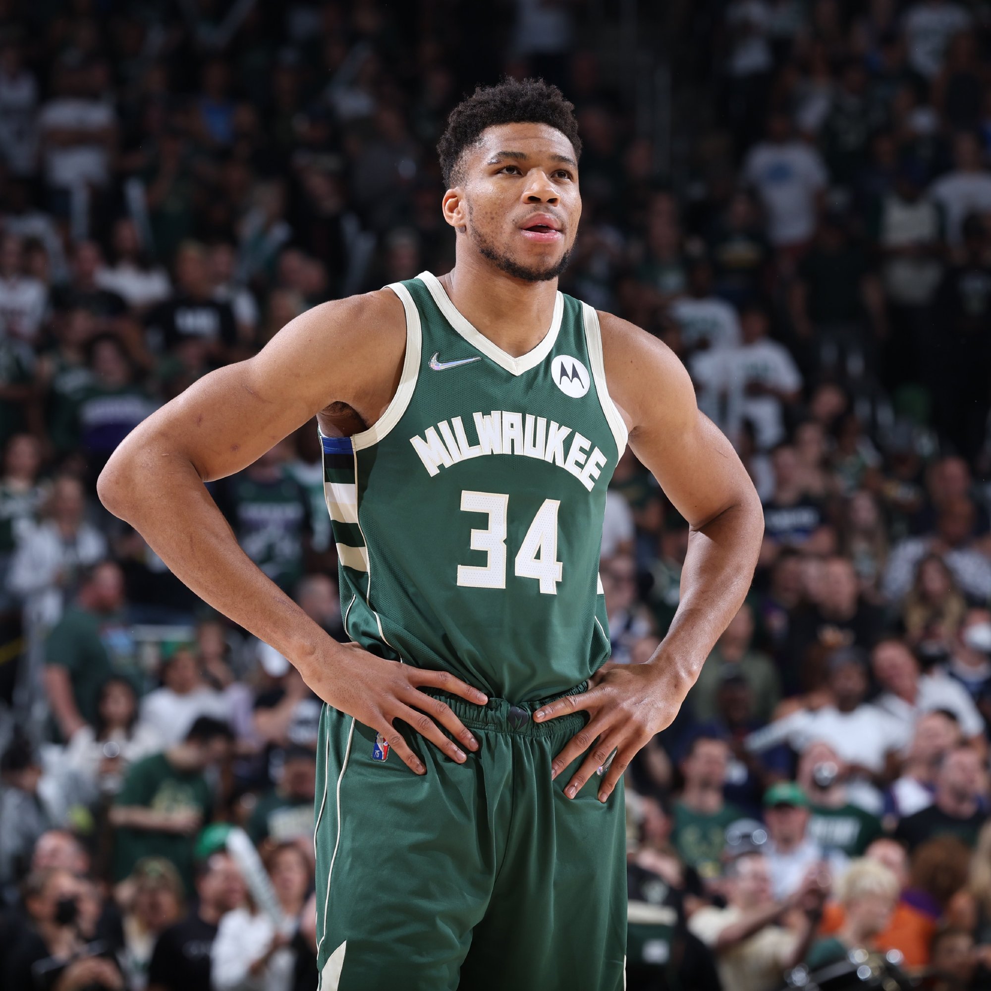 迷的唱词亦 迷的唱词亦