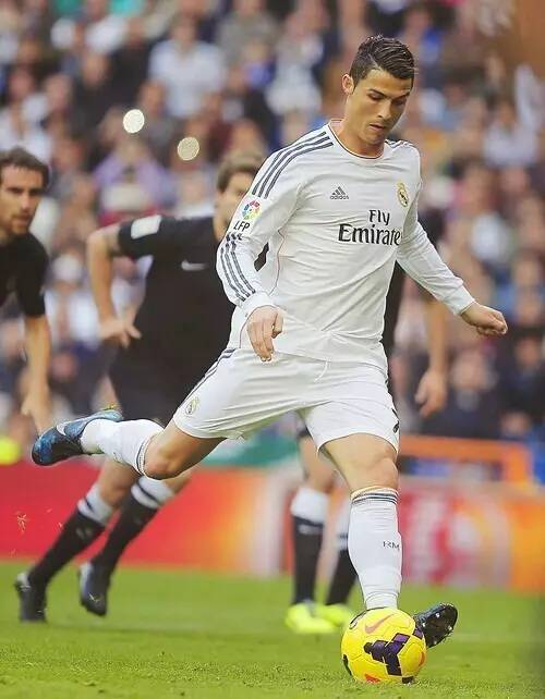 老将的参赛 老将的参赛